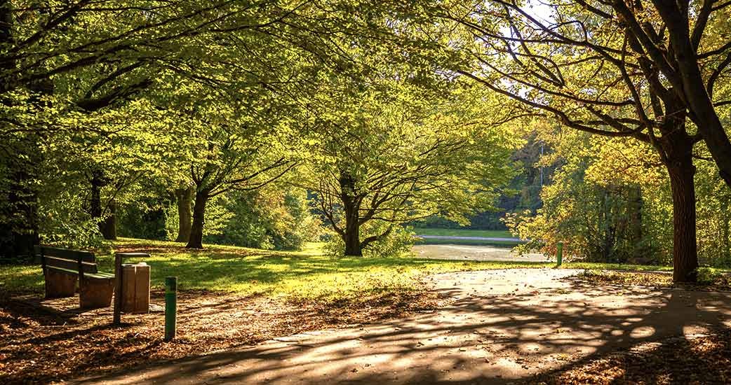 Cómo afecta la presencia de jardines en ciudades a la sostenibilidad social